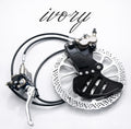 Ivory Racing Front Talaria Ultra Bee Brake Kit